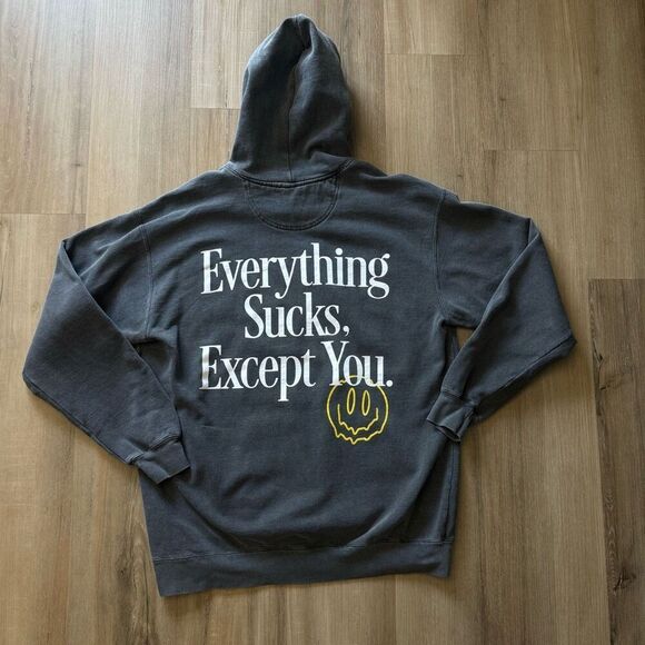 Taylor Acorn Everything Sucks Except For You Gray Hoodie Pullover Size Large - Picture 6 of 6
